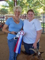 Tammy Wertz